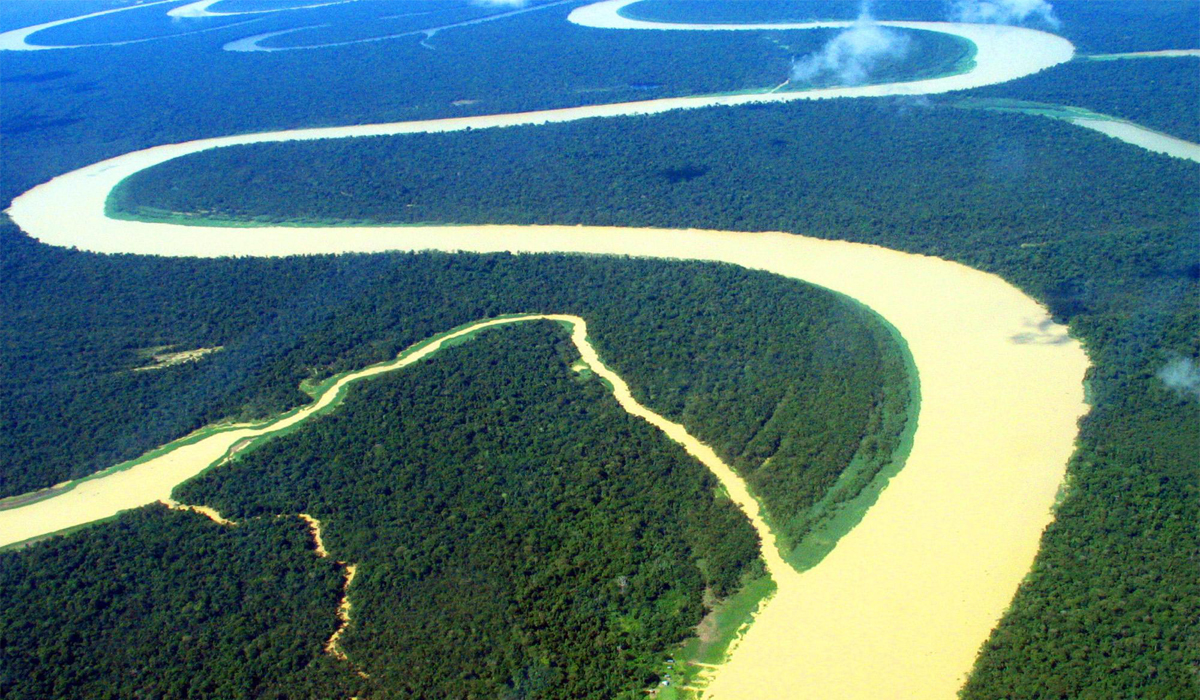 Floresta Amazonica